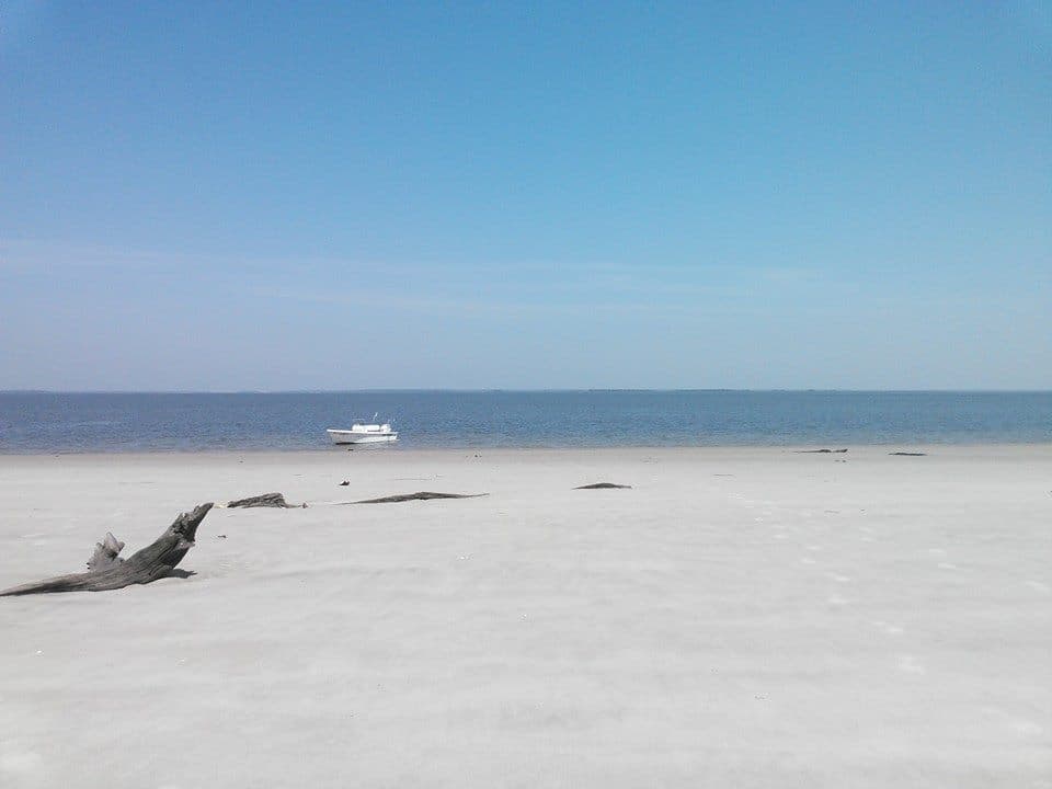 <b>St. Catherines Island</b>
<br>
<b>Sitio web</b>:
<a href="https://www.nps.gov/places/st-catherine-s-island-ga.htm">https://www.nps.gov/places/st-catherine-s-island-ga.htm</a>
<br>
<b><a href="https://maps.app.goo.gl/aYq9sbUy5xTh5CY5A">Cómo llegar</a> </b>
<br>
<br>Antigua capital de la nación india Guale y hogar de una de las primeras misiones españolas de la costa de Georgia, la isla St. Catherines es rica en historia. Pero a pesar de albergar aproximadamente el 10% de la costa de Georgia, el delicado ecosistema interior de la isla no es accesible al público.