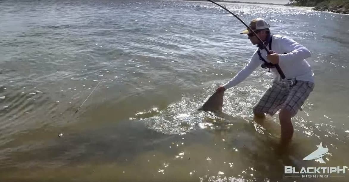 Pescador atrapa 'animal prehistórico' de 17 pies en aguas de Florida