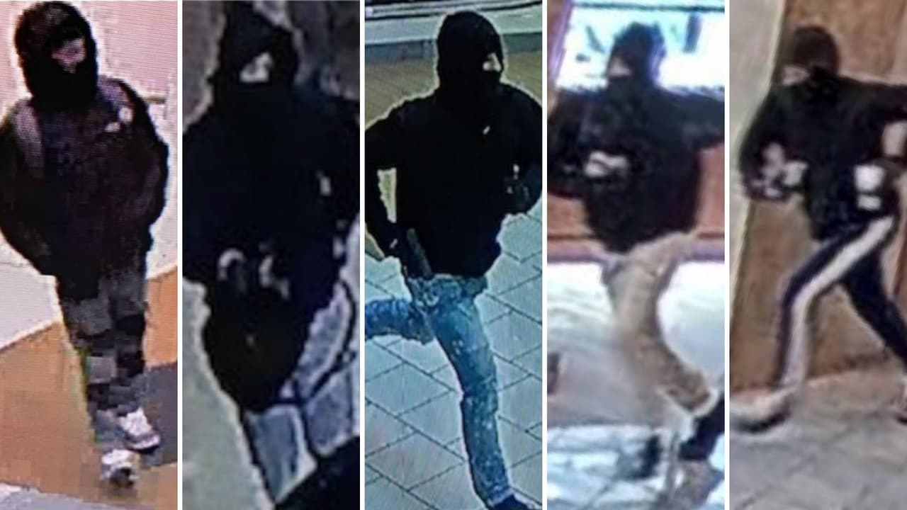 Rompen vitrinas para robar joyas y la policía de San Bruno busca a estos diez sospechosos