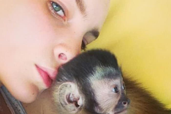 Pero si de mascotas raras se trata, la cantante
<b>Belinda</b> no se conforma con cualquier animalito y ha tenido varios, incluyendo a este changuito.