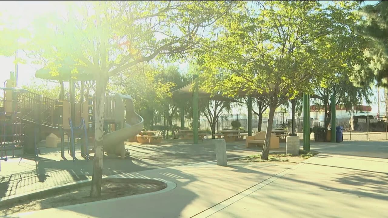 Organizaciones plantan árboles en Los Ángeles para combatir los efectos del cambio climático: así puedes sumarte