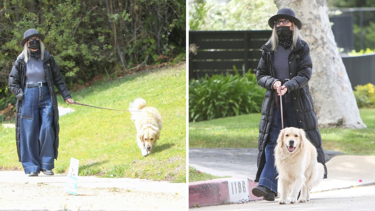 Diane Keaton salía a caminar por el barrio junto a su mascota Reggie.