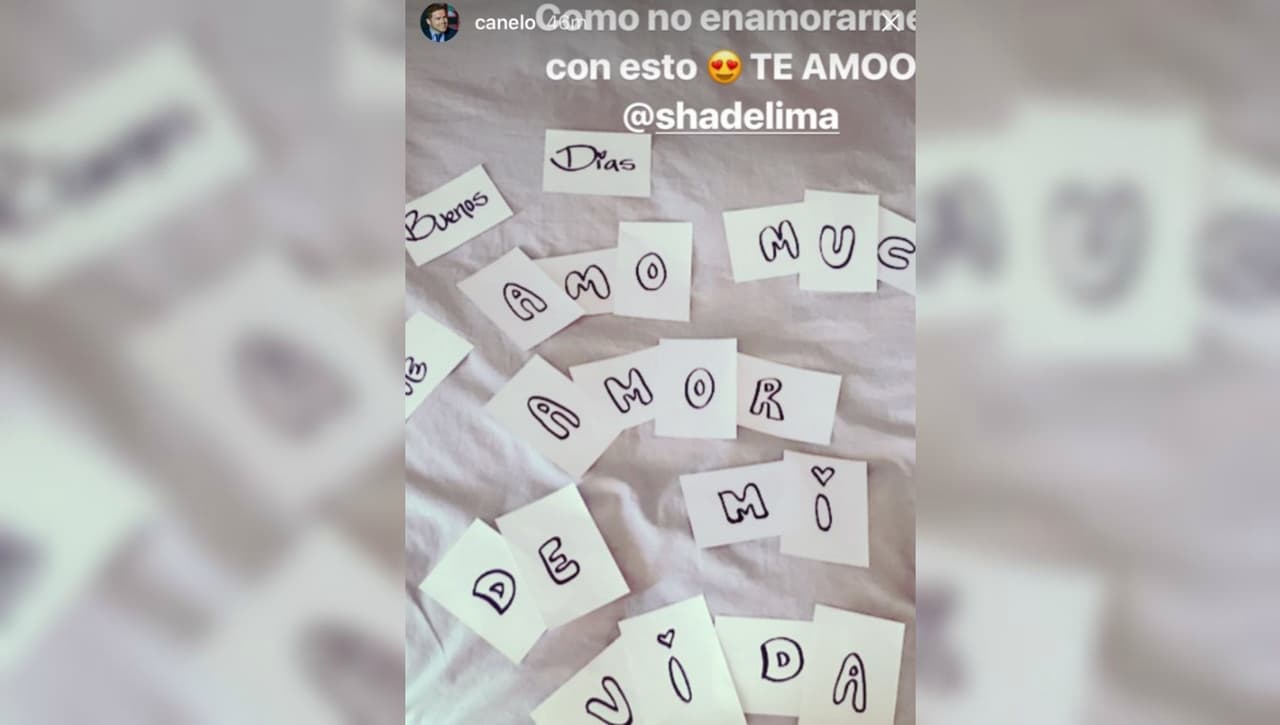 Con este mensaje, Shannon de Lima despertó al 'Canelo'.