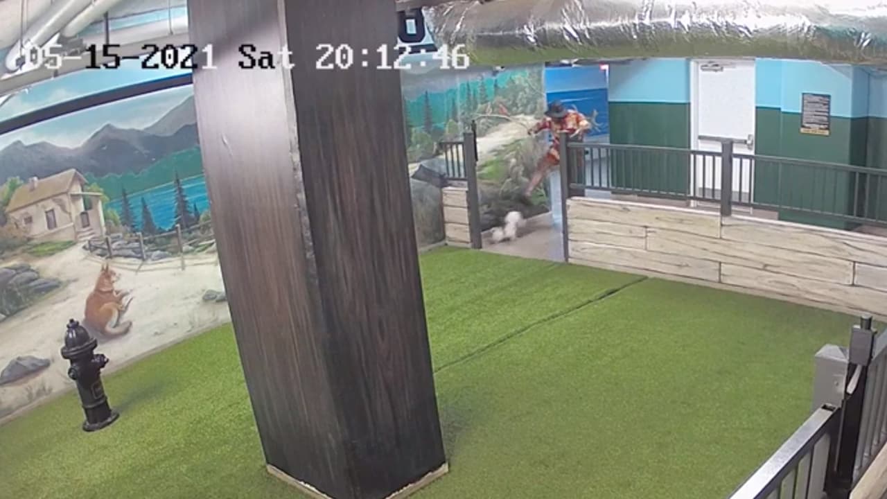 El 18 de mayo un hombre pateó y arrastró a su perro en un parque para mascotas.