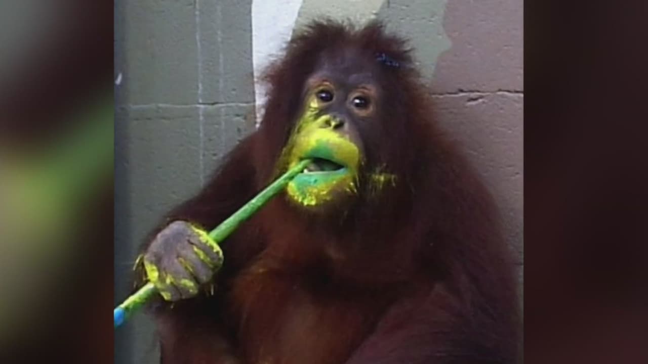 Guía de ocio: ¿Qué pasa en Miami este fin de semana? (Del 21 al 23 de julio)