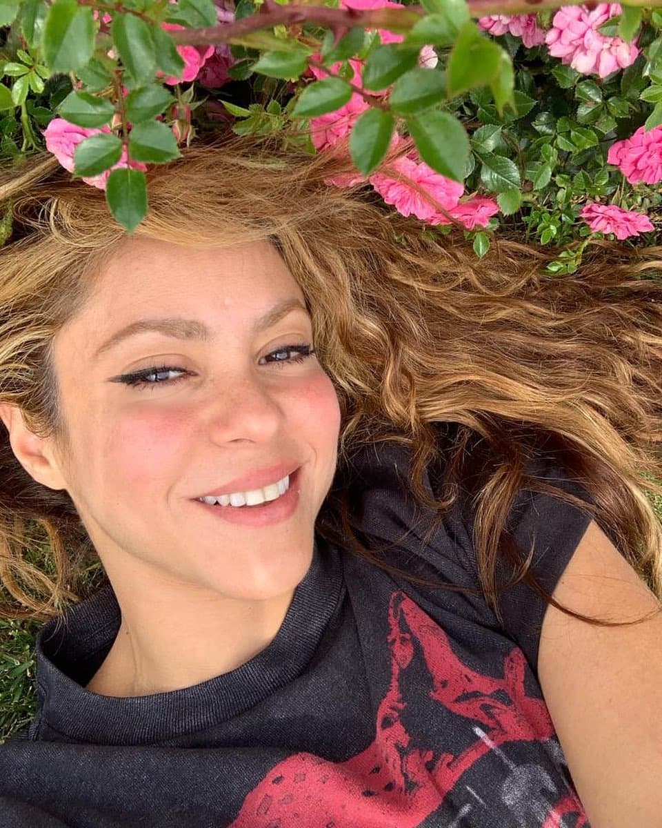 Forbes relata que Shakira sintió una buena conexión con David Smith, dueño de la empresa, no solo por el compromiso con la materia prima, también por retribuir a la comunidad cafetalera.