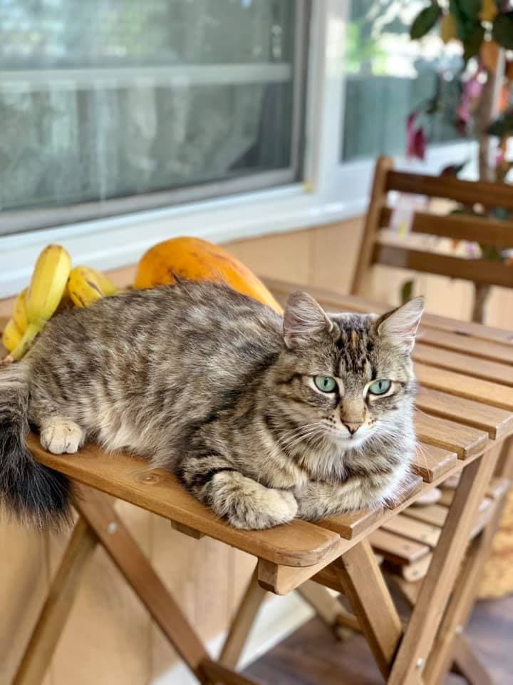 "Ella es Lucy" - Arely Cruz Flores