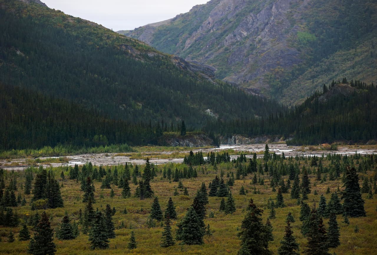 Muere mujer en Alaska al tratar de llegar al famoso autobús de la película "Into the Wild"