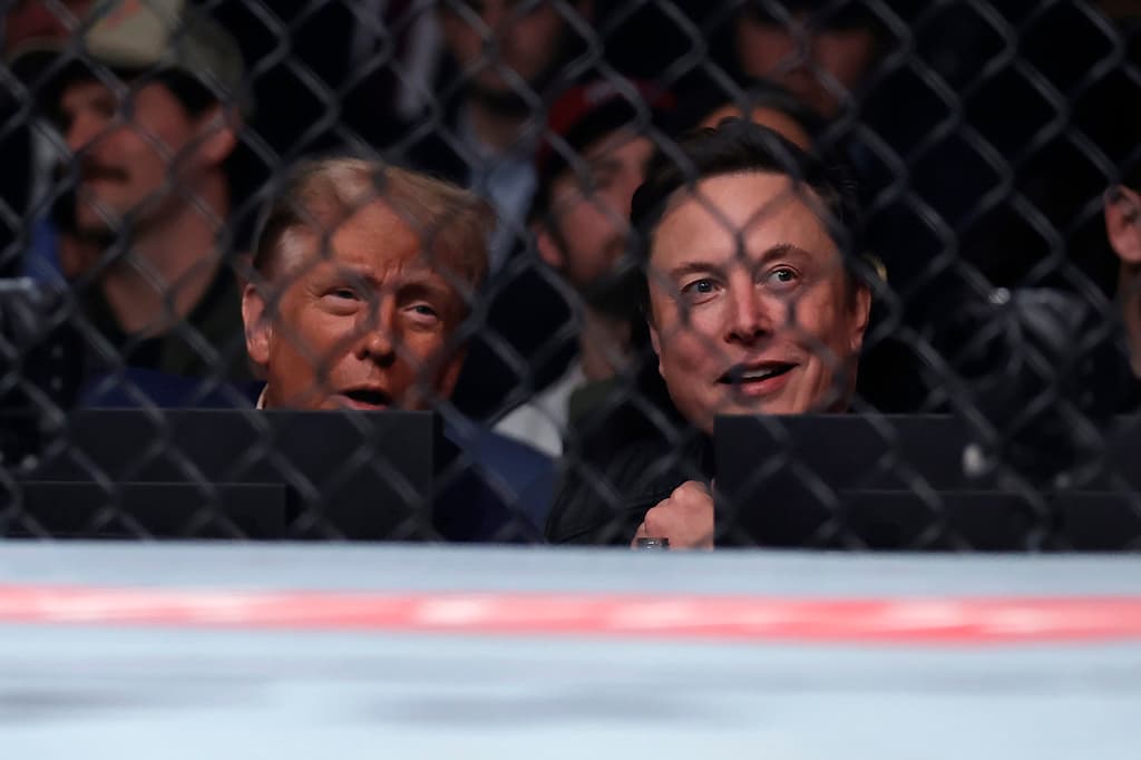 Cuáles son los principales "enemigos" del inusitado "bromance" entre Trump y Elon Musk