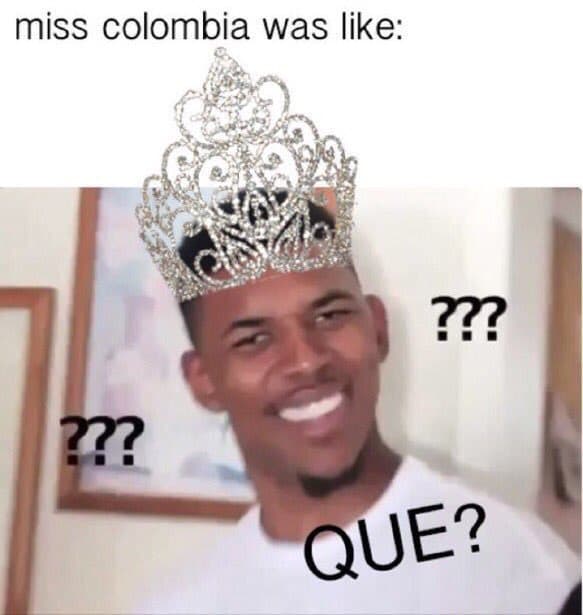 Los memes de la polémica coronación de Miss Universo 2015.