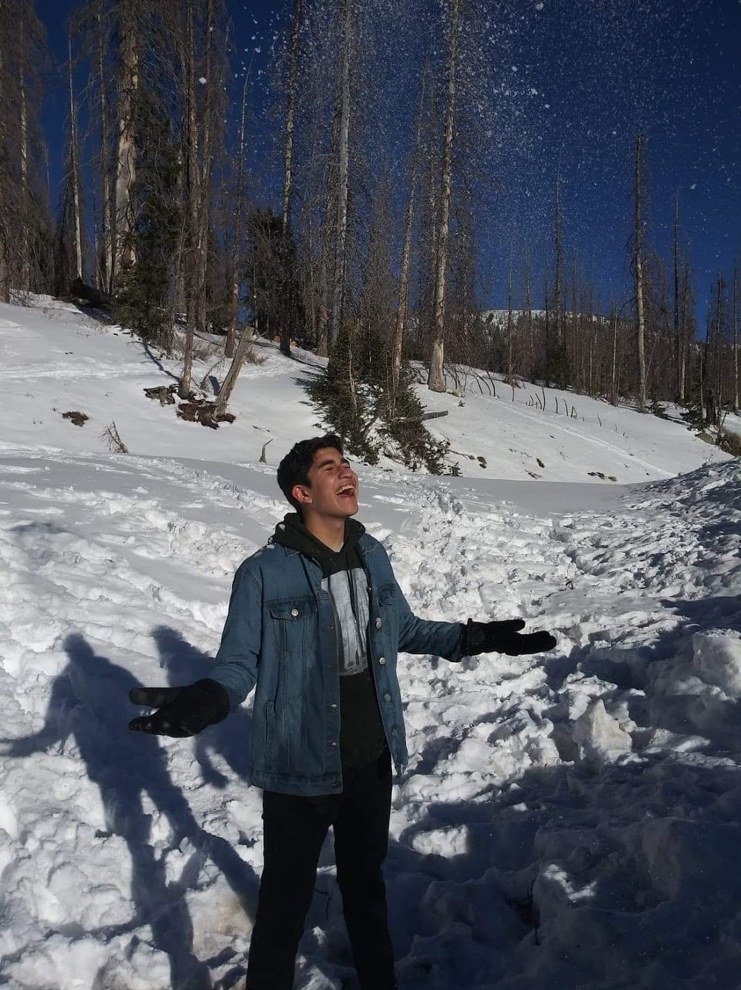 Desde sus estudios en pre-escolar y hasta la fecha, Yared ha obtenido múltiples reconocimientos académicos y en 8 ocasiones ha ganado premios estatales por sus conocimientos en ciencias sociales, historia y geografía.