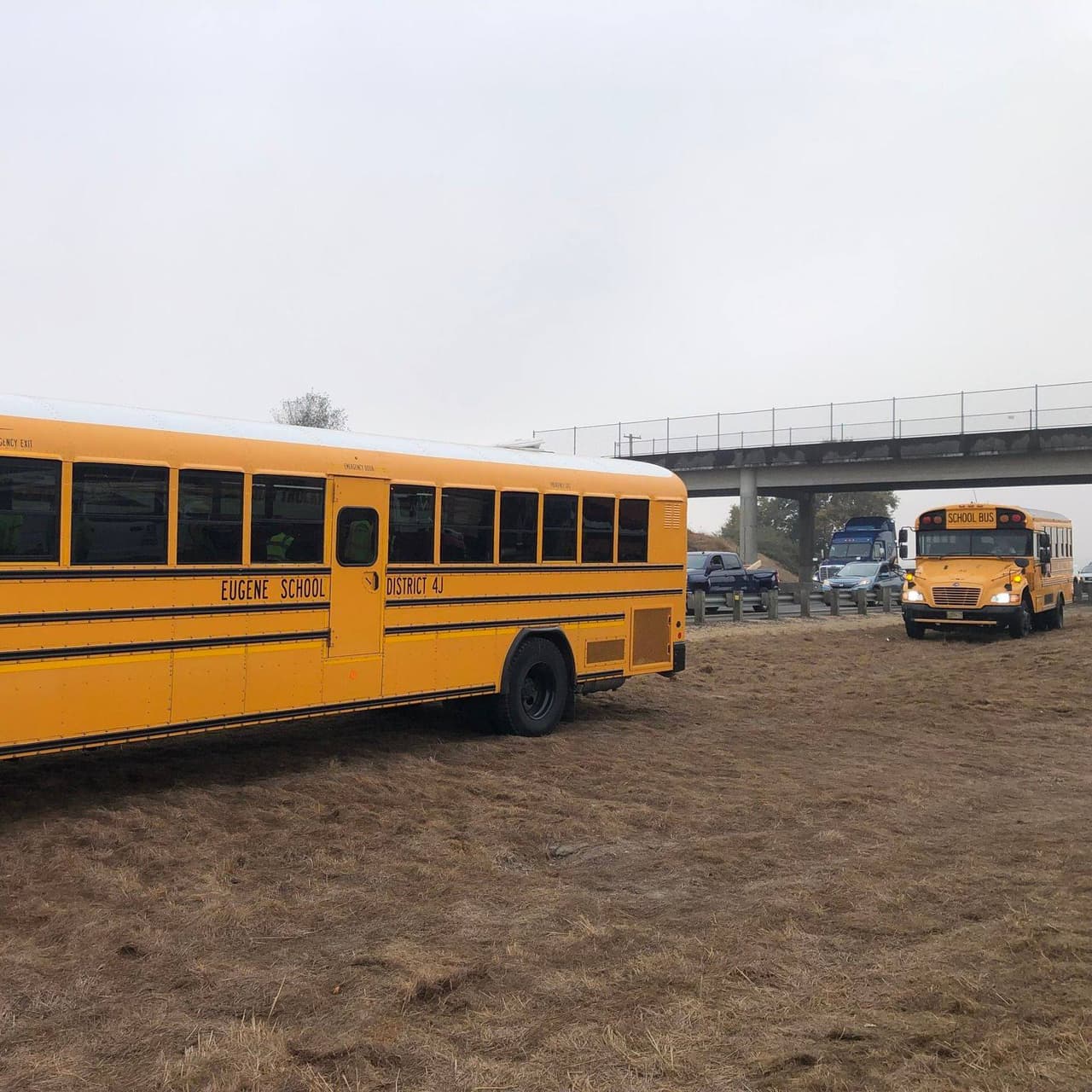 Según reportes, se enviaron transportes escolares de Eugene para recoger a varios conductores que quedaron varados y llevarlos hasta una parada de descanso cercana.