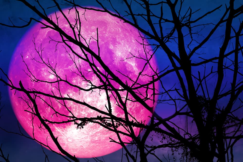 Este 19 de abril la luna rosa crea varios aspectos muy interesantes que debemos conocer para aprovechar su efluvio en nuestras vidas.
<br>Miremos signo por signo a continuación: