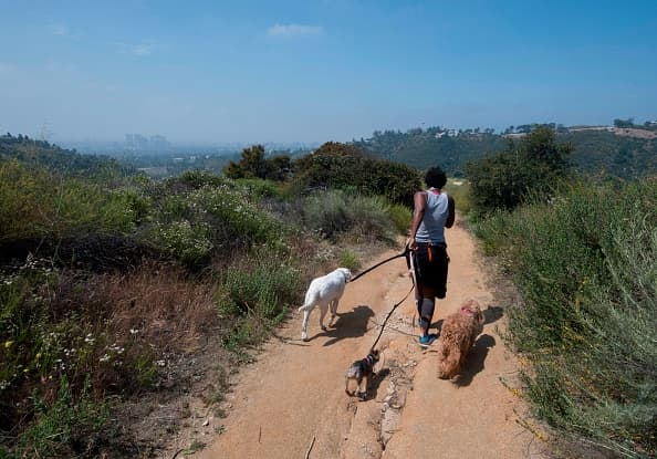 Disfrutar de la naturaleza reduce la necesidad de medicarse contra muchos trastornos de salud, sugiere un estudio