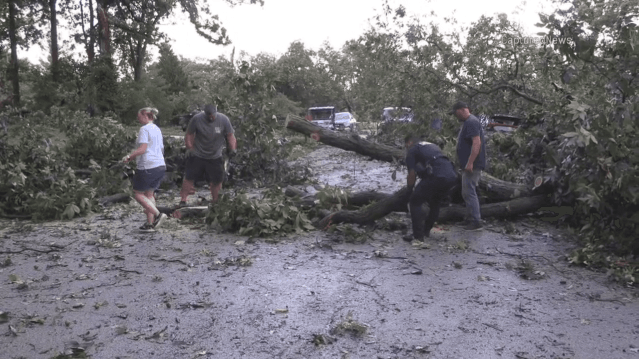 Residentes de Elgin, IL. despiertan con árboles caídos cerca de sus hogares.