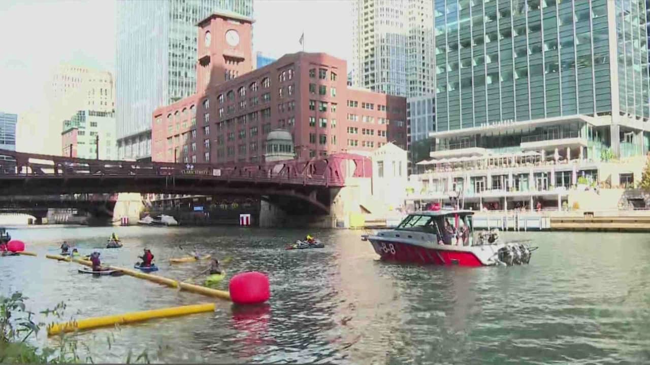 El río Chicago vuelve a abrir sus aguas a la natación competitiva y benéfica