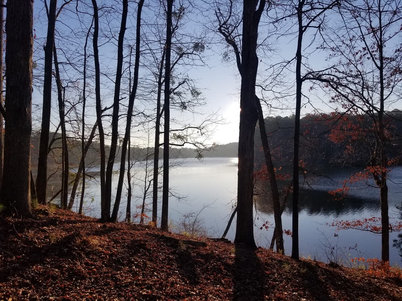 Ubicado cerca de la carretera Interestatal 75 
<b><a href="https://goo.gl/maps/88xT7Bma1deomy3y6">en el condado de Butts</a></b>, en el centro de Georgia, Indian Springs 
<b><a href="https://gastateparks.org/sites/default/files/parks/pdf/indiansprings/Indian-Springs-State-Park-history.pdf">es uno de los parques estatales más antiguos de los Estados Unidos</a> </b>y un lugar popular para la recreación al aire libre.