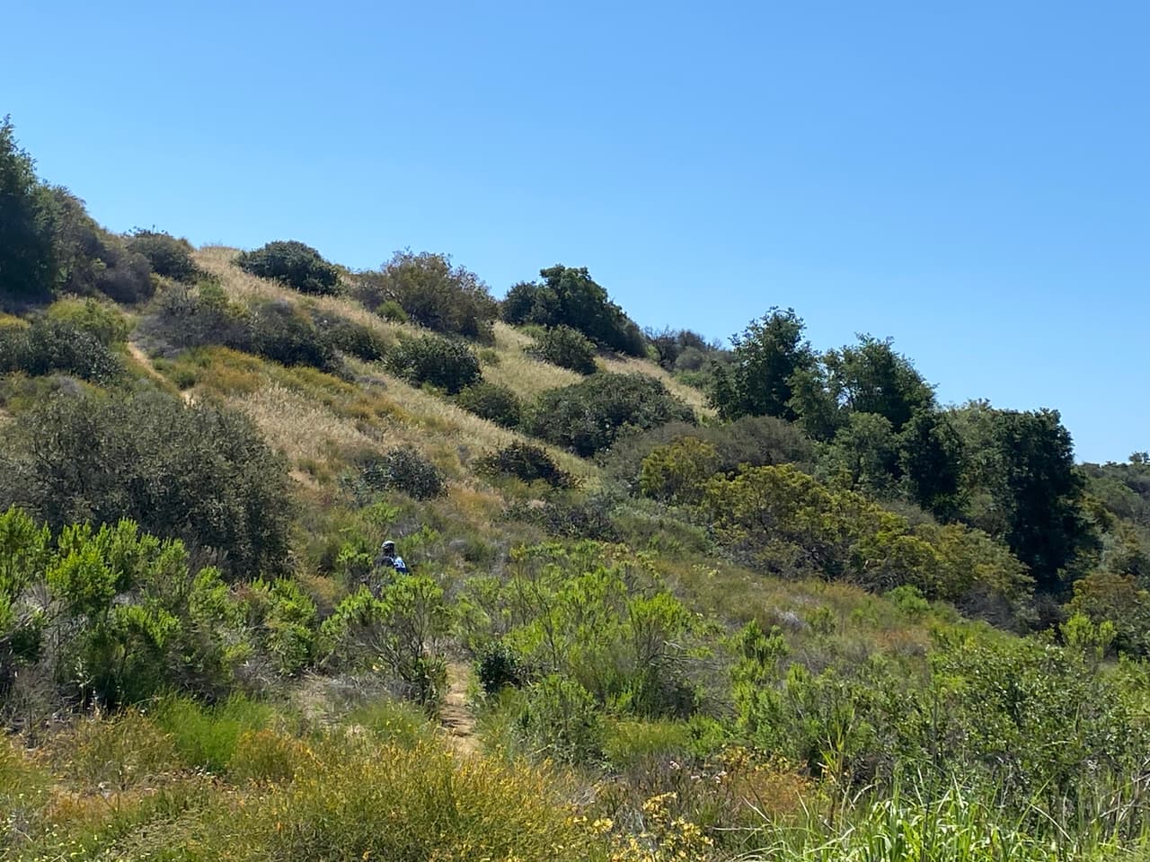 Está de más decirte que las bellezas naturales serán impresionantes, pero si no traes contigo suficiente agua para hidratarte en tu recorrido no podrás disfrutar a gusto de tu paseo.