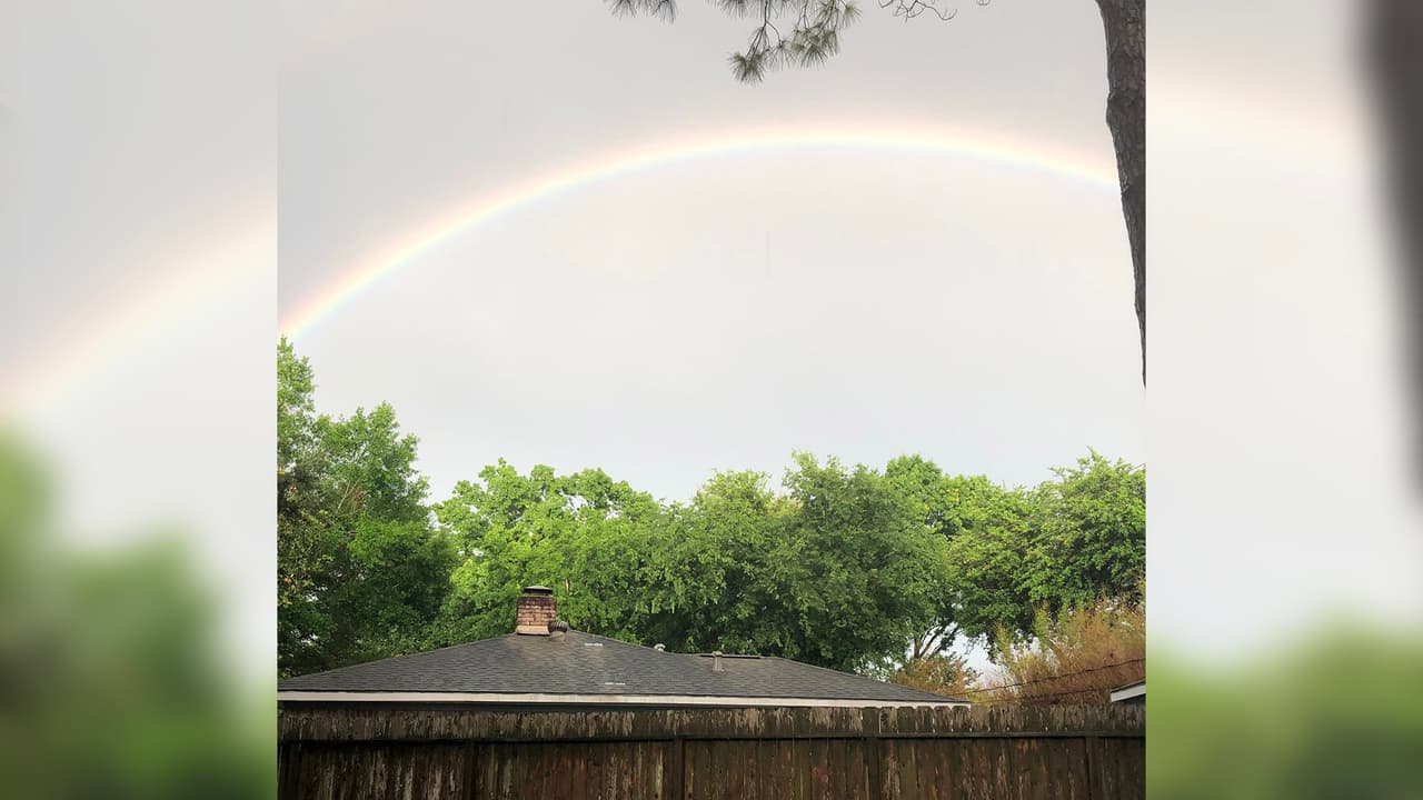 Desde tempranas horas de este lunes, 
<a href="https://www.univision.com/local/houston-kxln/reportan-calles-inundadas-por-las-lluvias-en-aldine-al-norte-de-houston-video">muchas zonas de Houston se han visto afectadas</a> por el paso de una línea de tormentas.