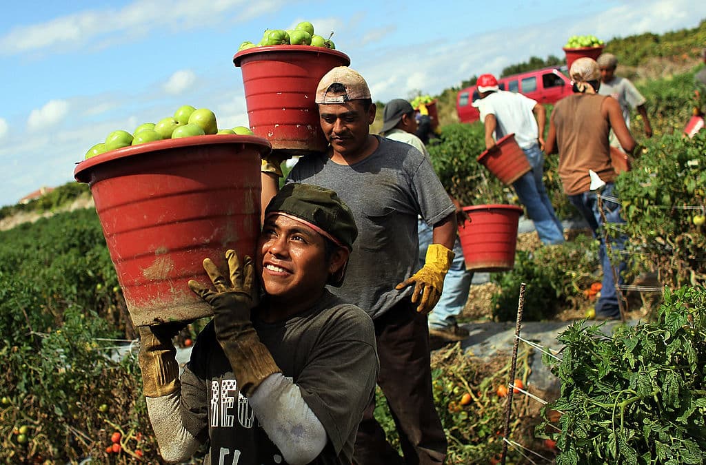 <b>Homestead:</b> resultó ser el peor lugar con calidad de vida para retirarse.