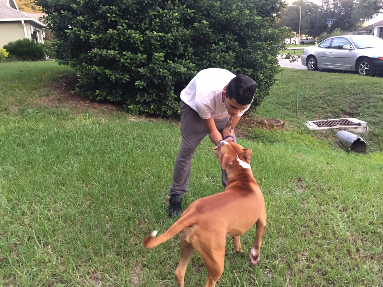 El cubano es un amante de los animales y no lo esconde. Sus dos grandes amores son Kiara y Nena. ¿Quién no se enamora de estas dos bellezas?