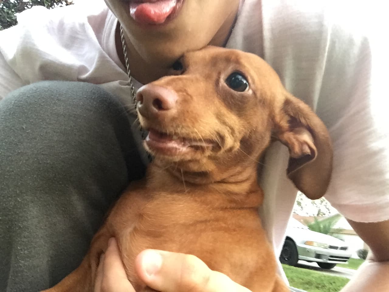 El cubano es un amante de los animales y no lo esconde. Sus dos grandes amores son Kiara y Nena. ¿Quién no se enamora de estas dos bellezas?