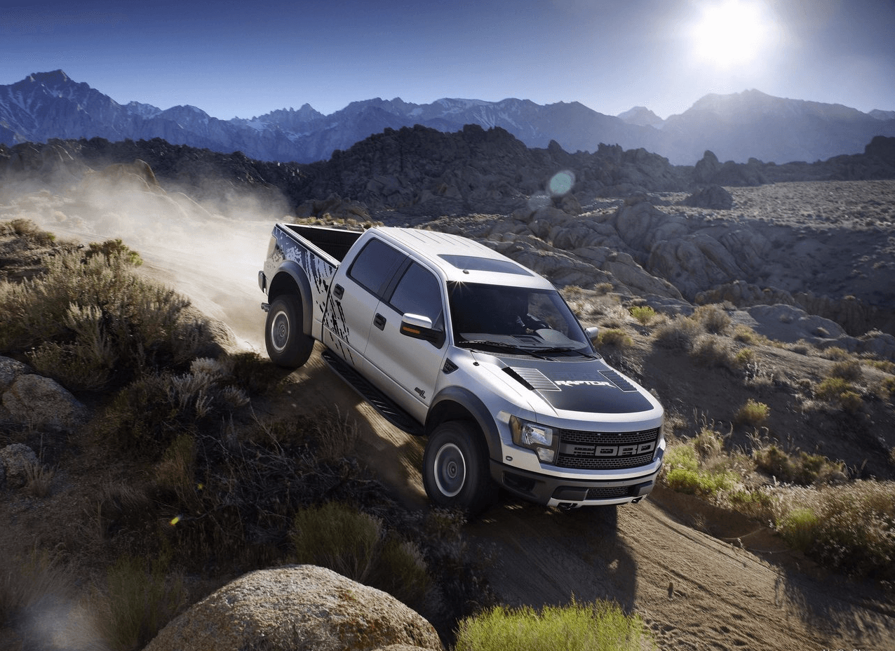 La décima segunda generación también sirvió de base a la 
<b>F-150 SVT Raptor, una pickup de alto poder dedicada al manejo todo terreno</b>. La Raptor, que de fue una verdadera sorpresa para los críticos que esperaban una camioneta menos extrema y quizás menos competente, estaba equipada con un motor V8 de 5.4 litros con 310 caballos de fuerza y podía equiparse opcionalmente con un V8 de 6.2 litros que generaba 411 caballos de fuerza, el cual se convirtió en su único motor a partir de 2011. La Raptor se convirtió rápidamente en un éxito comercial por lo que a además de la versión de cabina y media, Ford añadió una versión de cabina doble (en la imagen) en la línea Raptor.