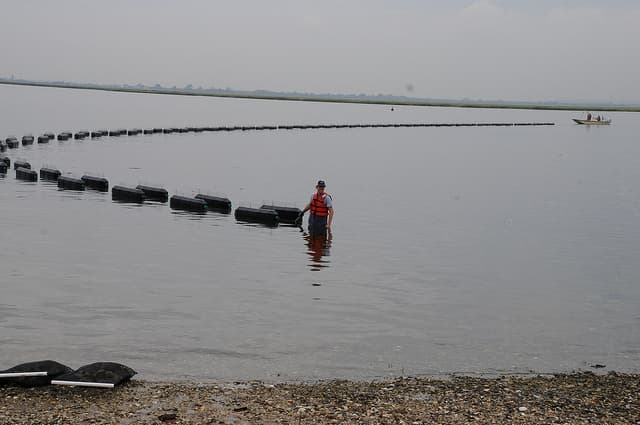 La instalación de las camas para las ostras es la apuesta para ayudar a que Jamaica Bay vuelva a ser el cuerpo de agua que fue antes de que se contaminara.