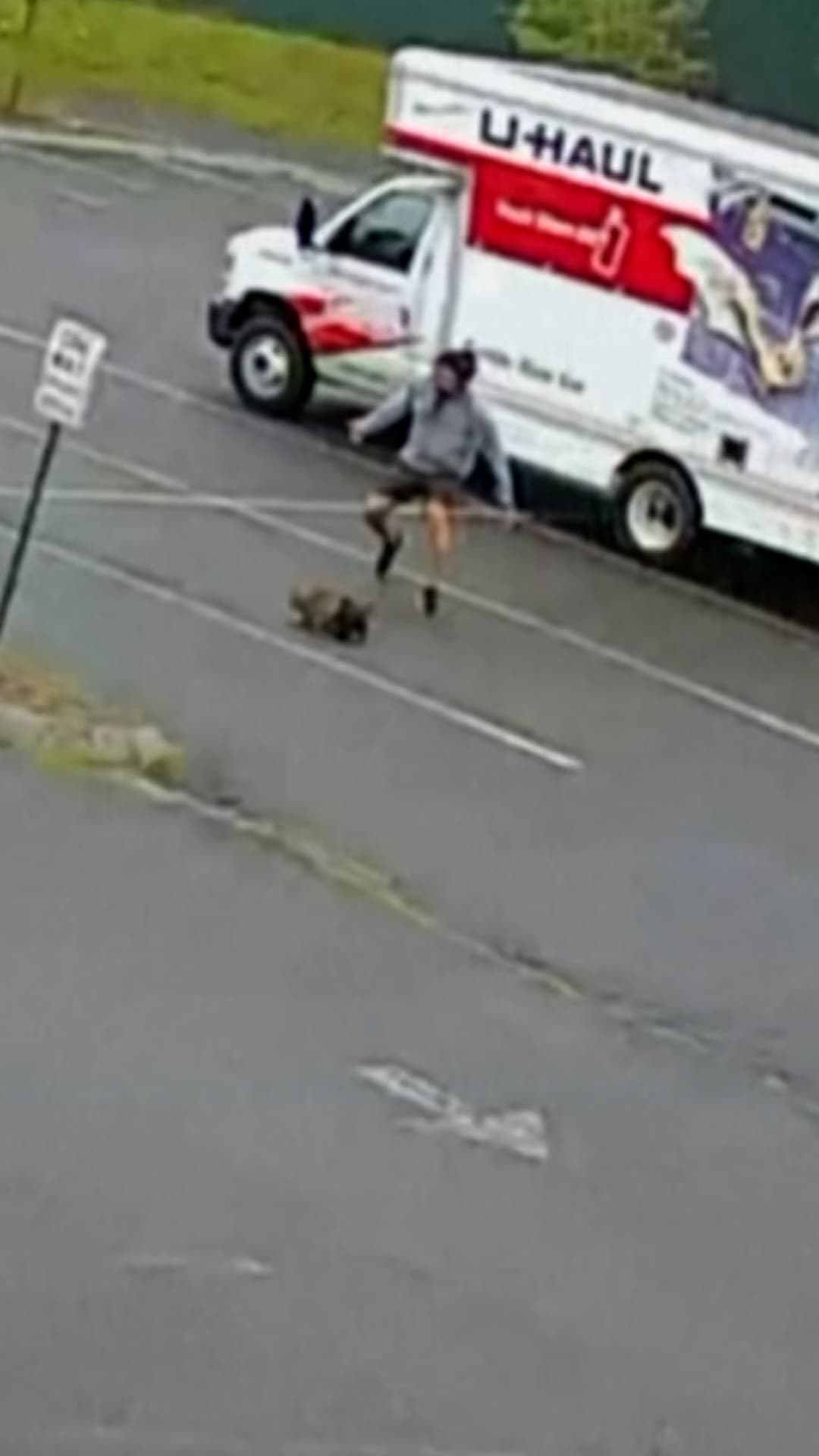 Un misterioso animal ataca a un hombre en un estacionamiento