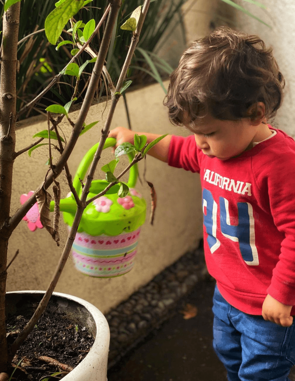 Así es cómo el más pequeño de la familia crece, siendo un caballerito que ayuda a su mamá en tareas pequeñas de la casa, como regar las plantas.
