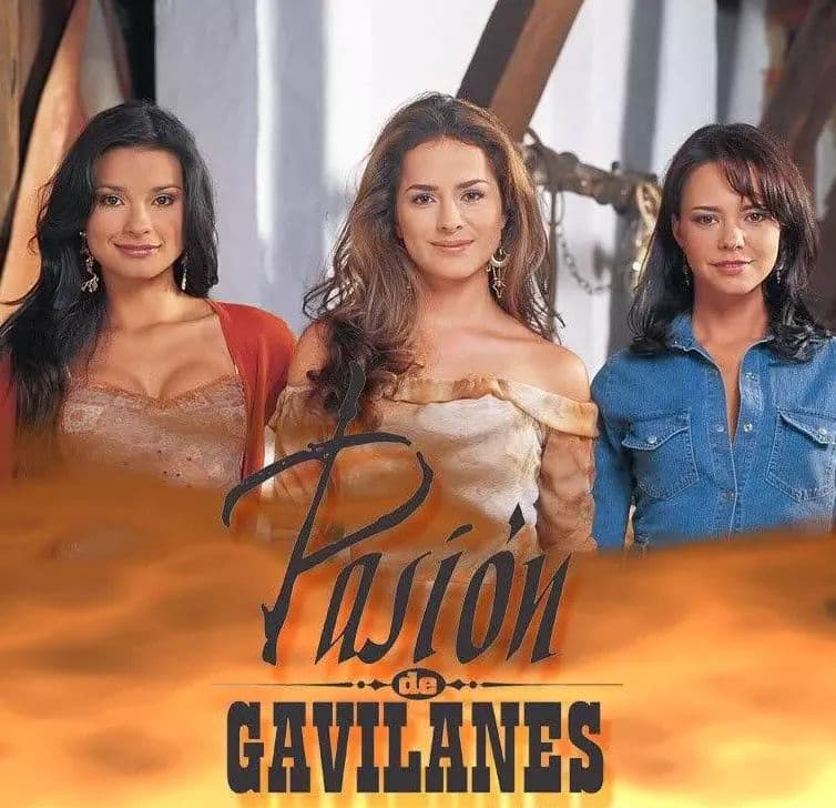 La telenovela '
<b>Pasión de Gavilanes</b>' también fue un suceso en Colombia, esto en el año 2003, pues la fuerza de los 6 protagonistas le imprimió un sello característico a esta nueva versión de 'Las aguas mansas'.