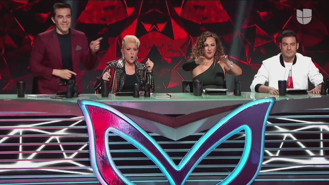 Adrián, Yuri, Consuelo y Carlos decidieron que Zorro y Marciano debían pasar a la siguiente ronda.