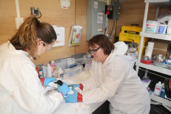 Continúan las labores de limpieza tras derrame de petróleo