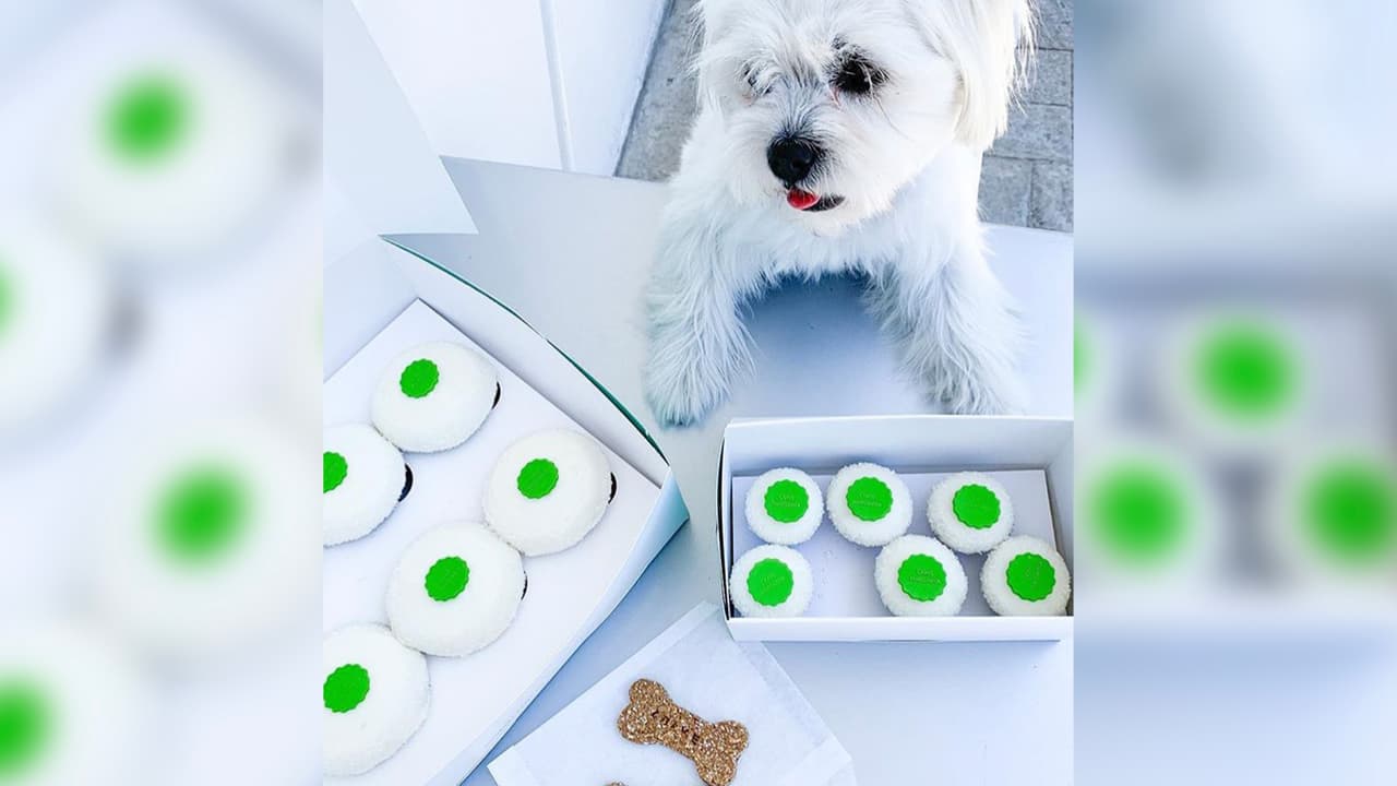 Como nuestros amigos peludos también se merecen un buen postre, 
<a href="https://cravecupcakes.com/" target="_blank">Crave Cupcakes</a> tiene los Margarita Cupcakes hechos en exclusiva para perros con avena triturada, crema de cacahuate, plátanos y manzanas.