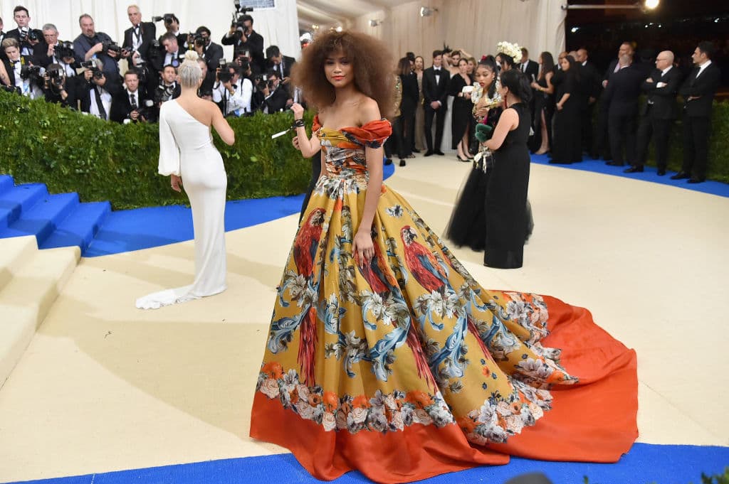 Uno de los primeros éxitos en las redes sociales se produjo en la Met Gala 2017, donde apareció con un voluminoso vestido Dolce & Gabbana con estampado de loros.