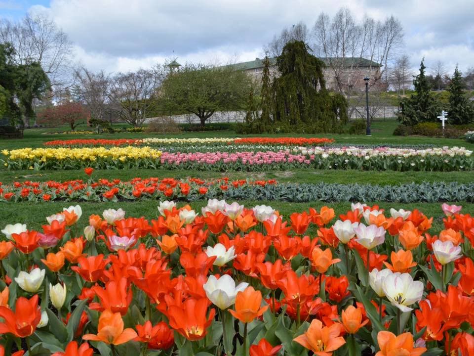 <b>Hershey</b>. Chocolatetown USA es un destino de vacaciones ideal para la primavera, que ofrece algo para adultos que buscan relajación o padres que buscan diversión familiar. Si viajas con tu pareja, miren las flores en 
<b><a href="https://www.hersheygardens.org/">Hershey Gardens</a></b>, recorran el Museo del Club de Automóviles Antiguos de América o prueben las cervezas de clase mundial de Troegs Brewing Company.