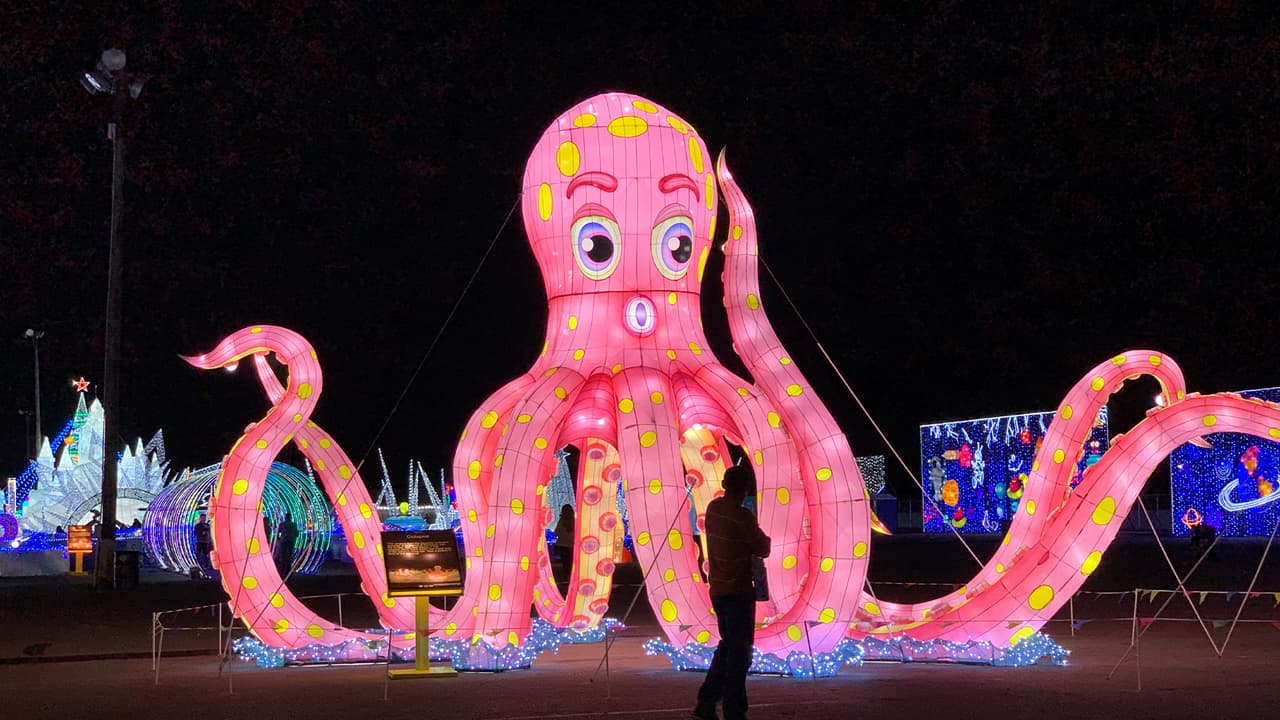 <b>The Sea: </b>Disfruta de los paisajes en el fondo del mar y sus maravillosos habitantes.