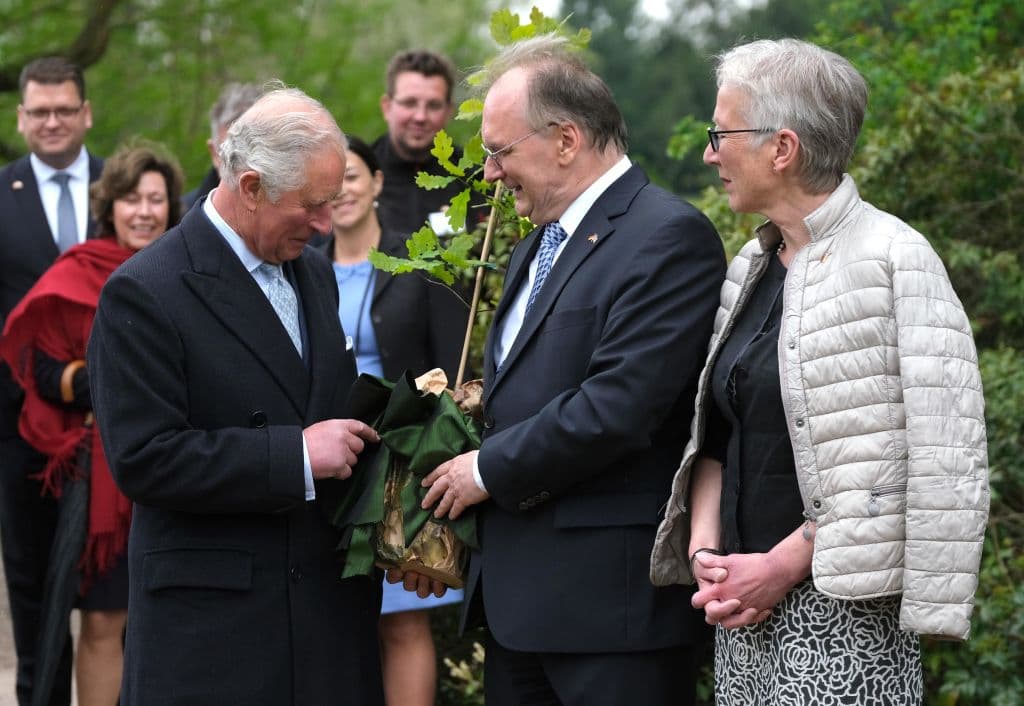 Entre sus actividades, el príncipe Carlos también recibió un roble de parte del gobernador de Sajonia-Anhalt, Reiner Haseloff.