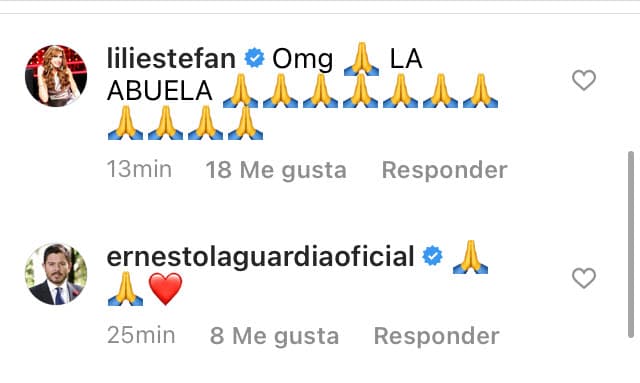 Algunos amigos de la cantante, como Lili Estefan y Ernesto Laguardia, se unieron a la petición. 
<br>