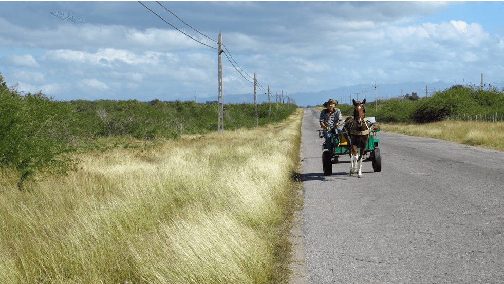 Tomás Sardiñas trabaja en los campos que conducen a la Ciudad Nuclear, en Cuba, y en los años 80 solía proveer comida los trabajadores de la central.