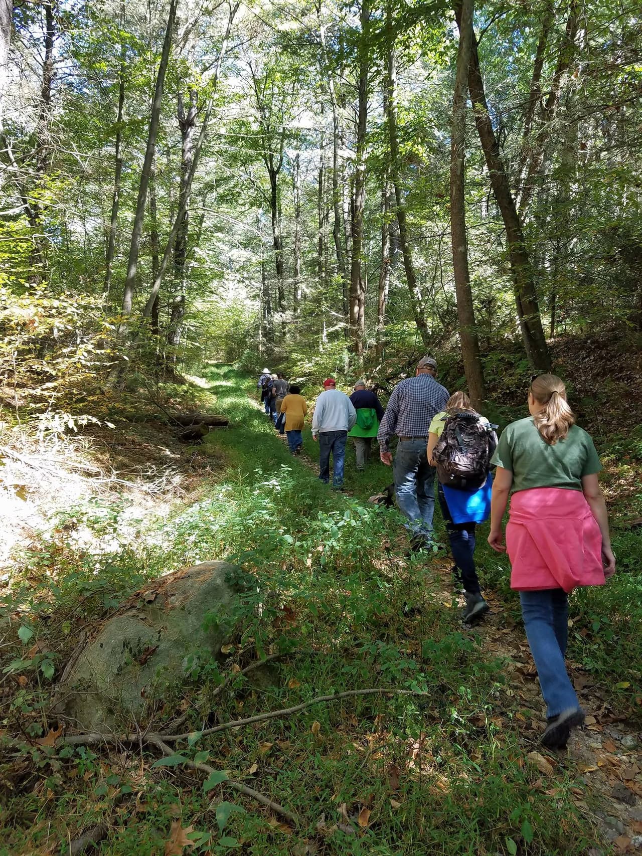 Los caminos locales de montaña ofrecen interesantes caminatas cortas y una flora que atrae a una diversidad de vida silvestre, especialmente aves del bosque.