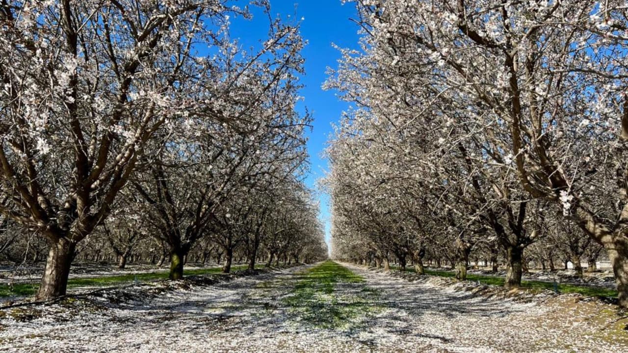 Hay decenas de millas que puedes disfrutar con tu familia.