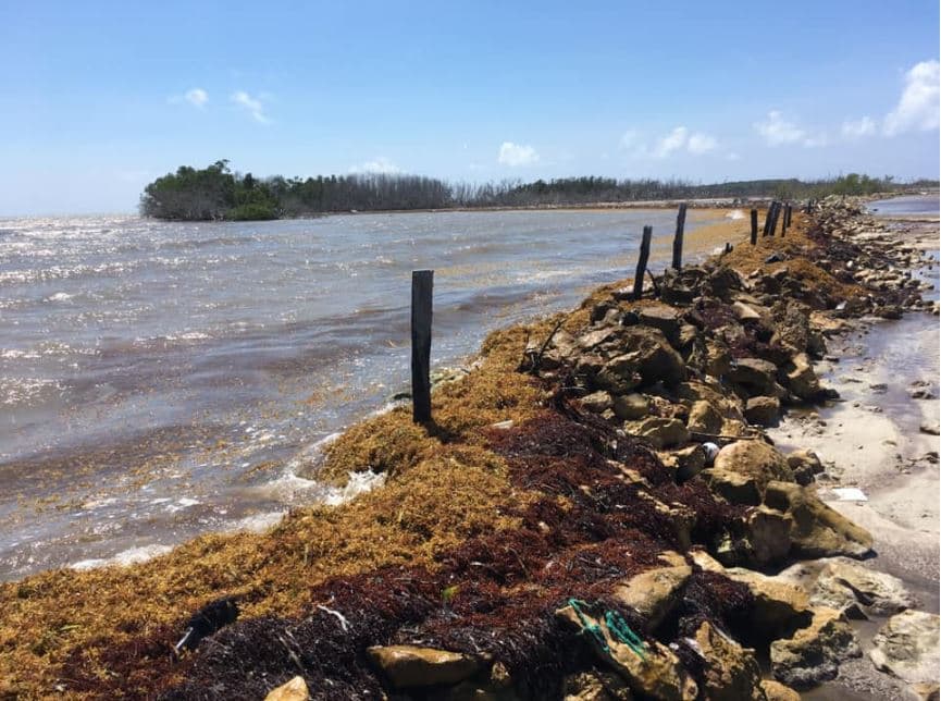 La marejada hace que las costas se llenen de basura, lo cual a su vez trae sargazo y desperdicios.
<br>