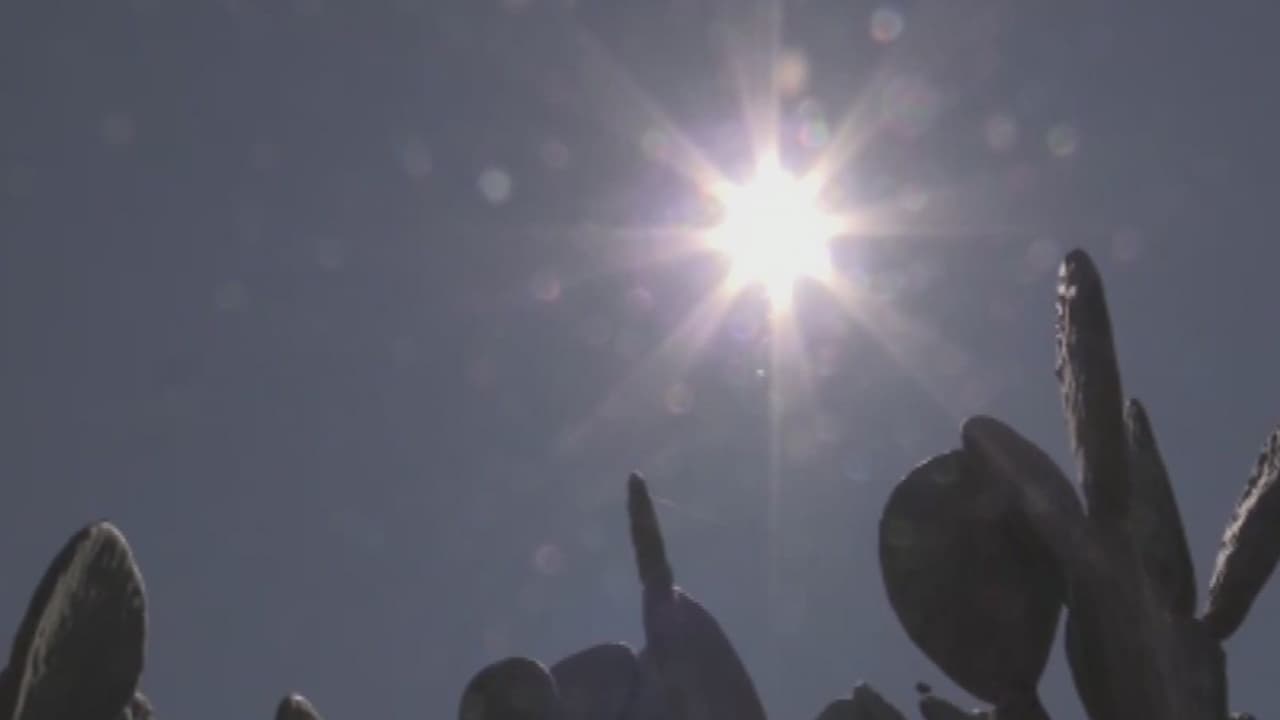 Diez consejos básicos para protegerte de esta ola de calor en Arizona  