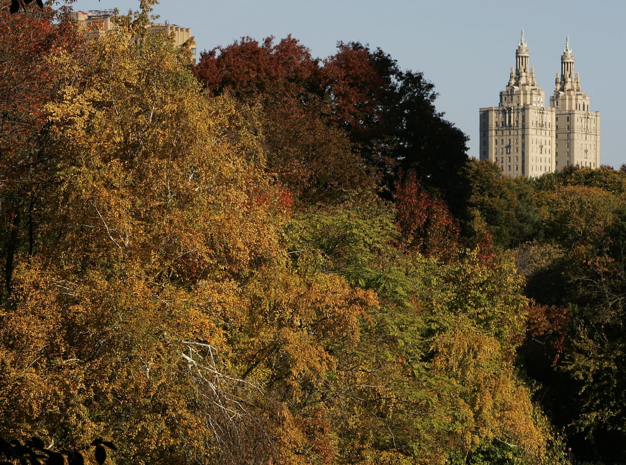 ¡Incluye 7 mil pies cuadrados para relajarte en cualquiera de sus preciosas estancias!