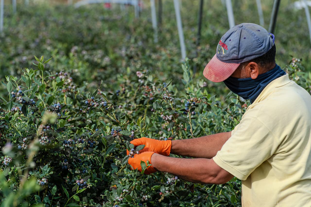 “Caravana por los hispanos”: la iniciativa para ayudar a inmigrantes en tiempos de coronavirus