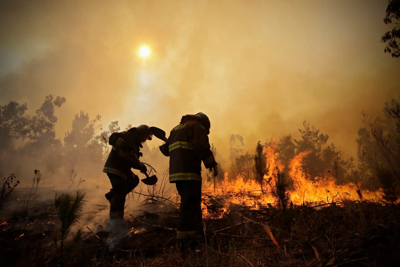 Los bomberos cavan trincheras en un esfuerzo por detener el avance de un incendio forestal en Hualañé, en la zona central de Chile.
