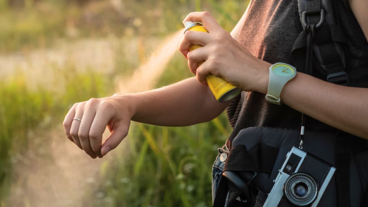 <h3 class="cms-H3-H3">En resumen: no los subestimes </h3>
<br>
<b>Prevenir es más fácil que curar. </b>Con unos cuantos cambios en casa, un poco de atención al salir, y algunos remedios a la mano, puedes pasar esta temporada sin sufrir por los mosquitos. 
<b>Proteger a tu familia no tiene por qué ser complicado.</b> Y sí, se puede lograr sin llenar todo de químicos.