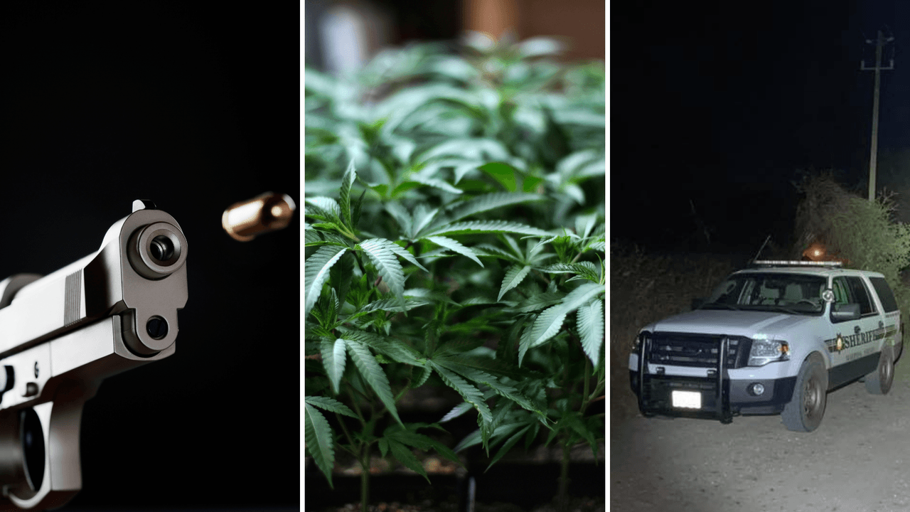 Lo que se sabe del tiroteo en un cultivo de marihuana que dejó un muerto y dos heridos en el condado de Mariposa