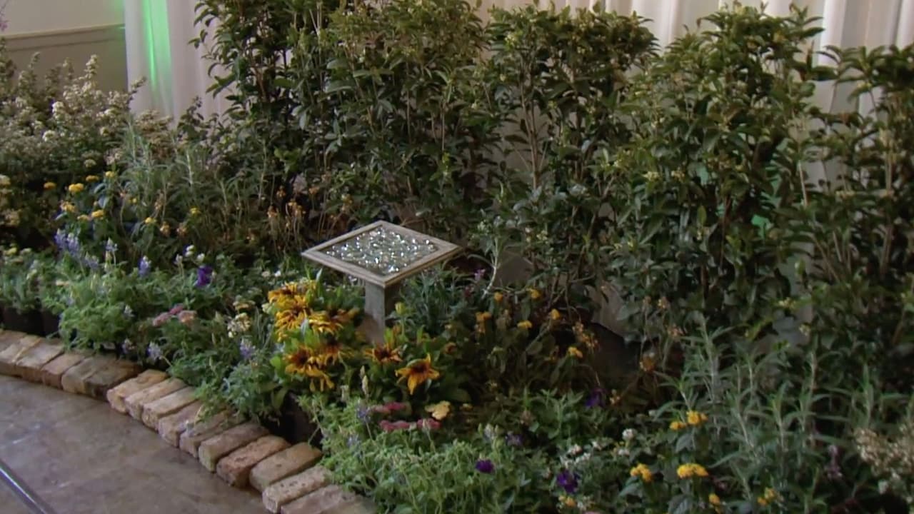 El objetivo principal es la preservación y conservación del jardín.